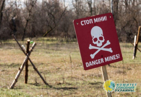 В Донбассе на украинских минах подорвались инструкторы НАТО