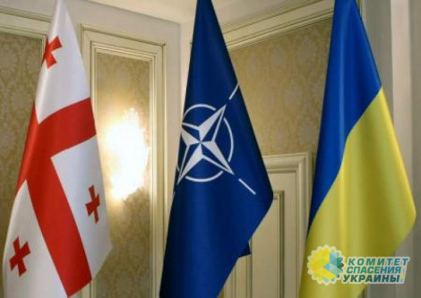 Экс-генсек НАТО придумал способ вступления Украины и Грузии в альянс