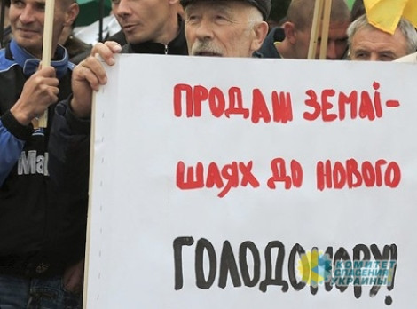 Не дать властям продать страну: аграрии вышли на всеукраинскую забастовку, профсоюзы наготове