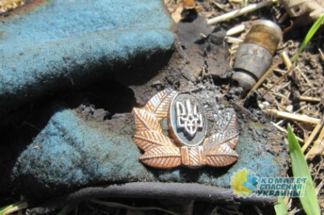 Басурин: девять украинских военных погибли при попытке прорыва под Донецком и Горловкой