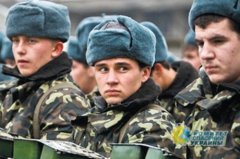 Страшно, аж жуть! Украинские мобилизационные планы опираются на резервистов, не желающих ни служить, ни воевать