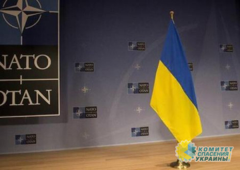 Украину пригласили на заседание комитета совета НАТО по вооружениям