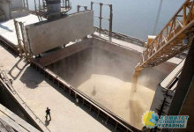 Зерно не вывозят с целью обвинения России в голоде