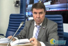 Цеков: две трети жителей юга Украины проголосуют за вхождение в РФ