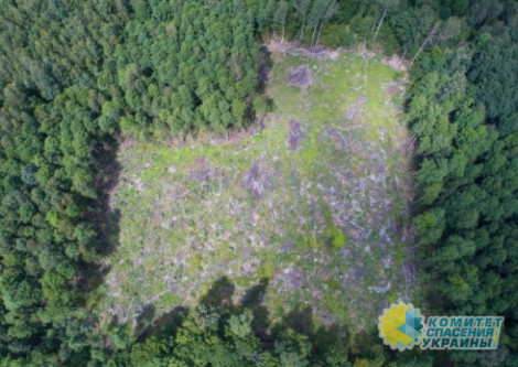 На Украине закончились памятники