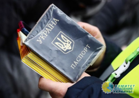 Киевский режим до сих пор не забрал из Грузии депортированных из России украинцев