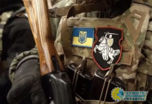 Использовали и выбросили