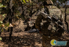 Стало известно, кто подготовил план контрнаступления ВСУ