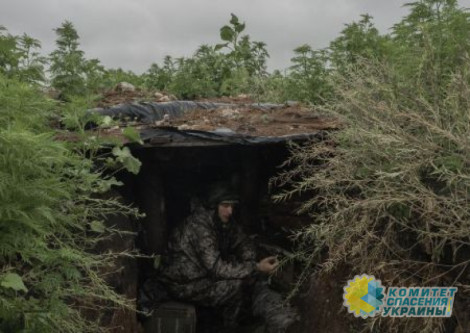 Запад разрабатывает мирные соглашения