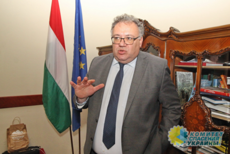 Посол Венгрии открыто раскритиковал руководство Украины и выбранный им курс