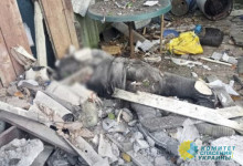 ВСУ обстреляли Горловку