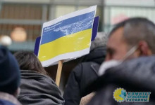Украинские беженцы не хотят трудоустраиваться в ФРГ