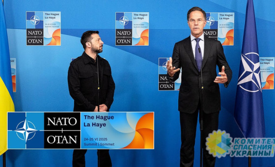 Рютте дал понять, что НАТО сейчас не до Украины