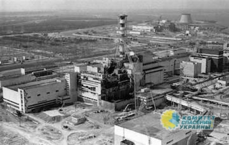 В Украине наладили вывоз радиоактивного янтаря из Чернобыля за границу