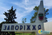 Зеленского призвали вывести войска из Запорожья и региона