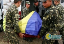 ВСУ в зоне «АТО» нечем транспортировать трупы