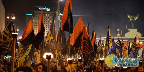 Азаров: Освобождение Украины от нацизма надо начинать с ликвидации киевского режима