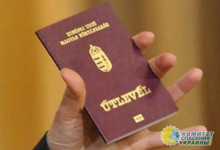 Жителей Закарпатья, получивших венгерские паспорта, внесли на сайт «Миротворец»