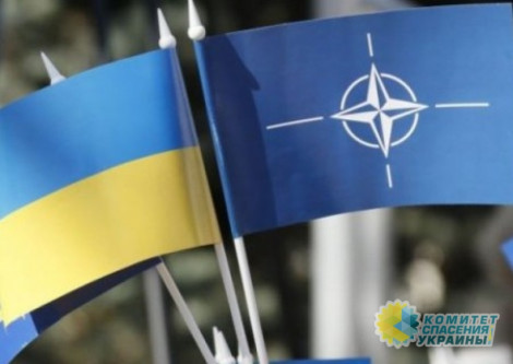 Венгрия заявила, что не пустит Порошенко на саммит Украина-НАТО