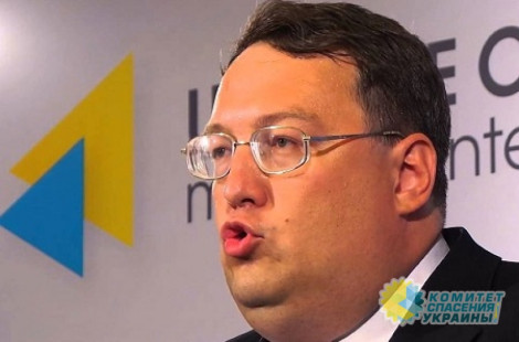 Геращенко признался в создании карательных добробатов для усмирения Донбасса
