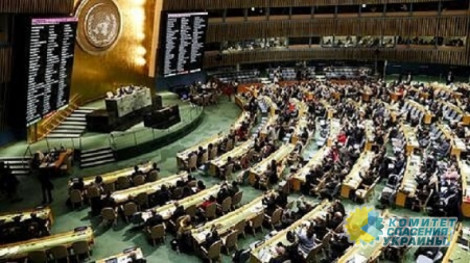 В ООН приняли резолюцию по борьбе с героизацией нацизма