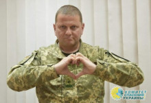 Залужного одобрительно оценили в США