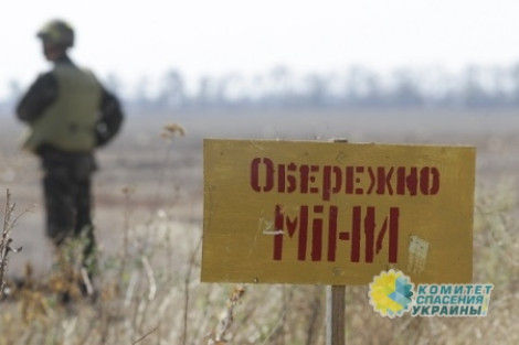 Усилиями Киева земля Донбасса превращена в минное поле