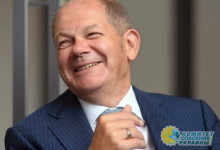 Шольц кинул Зеленского