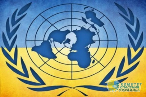 В ООН заявили, что «Правый сектор» и С-14 - опасные структуры, мешающие становлению государственности на Украине
