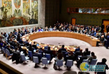 Киев мечтает провести «мирный саммит» в ООН к концу февраля