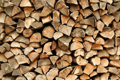 Гослесхоз Украины предложил перевести ТЭЦ на дрова