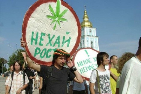 В Украине предложили легализовать марихуану