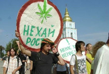 В Украине предложили легализовать марихуану
