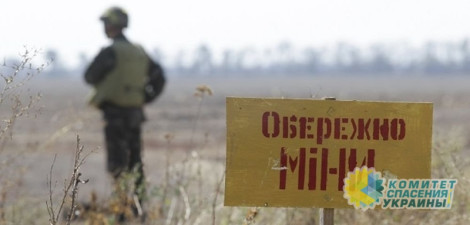 "Самое большое число подрывов". В ООН назвали Украину одной из самых заминированных стран мира