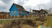 Лукашенко призвал возродить заброшенные деревни в Белоруссии