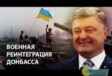 Законом о "реинтеграции Донбасса" киевский режим с энтузиазмом сам роет себе яму