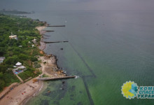 В Одессе, «благодаря» отходам и мусору «зацвело» море