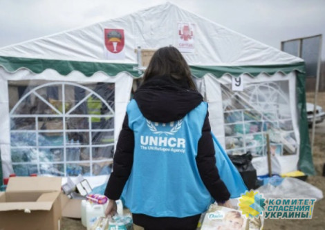 ООН существенно сократила помощь беженцам с Украины