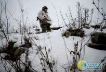 Четыре украинских диверсанта подорвались на собственных минах в районе Авдеевки