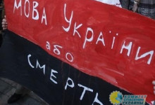 Елена Бондаренко: Киевский режим струсил