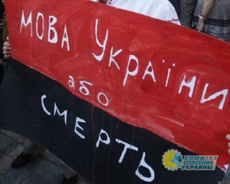 Елена Бондаренко: Киевский режим струсил