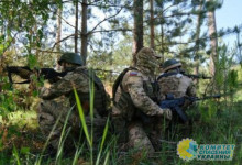 «Украинские бандформирования несут колоссальные потери»