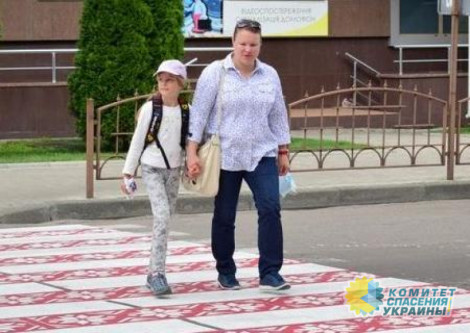 В Житомире «крестиком вышили» пешеходный переход