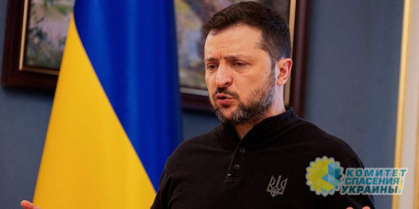 Зеленский обвинил Уиткоффа в том, что тот взял на вооружение стратегию Москвы