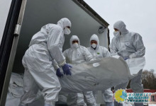 Украина и РФ провели обмен телами военнослужащих