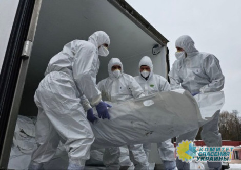 Украина и РФ провели обмен телами военнослужащих