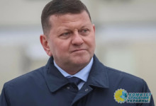 Залужный на чемоданах