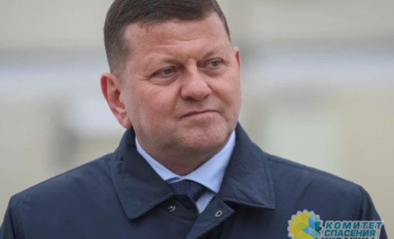 Залужный на чемоданах