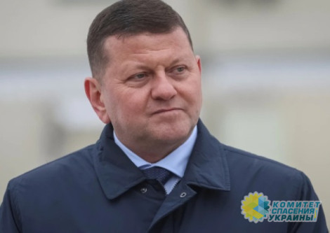 Залужный на чемоданах