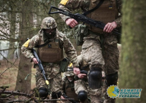 Стало известно, где готовили украинских боевиков для нападения на Курскую область